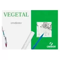 C200406244 CANSON CAJA DE LÁMINAS VEGETAL BASIK 250 HOJAS 90GR 29
