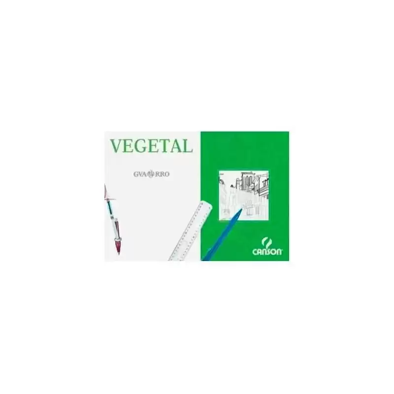 C200406244 CANSON CAJA DE LÁMINAS VEGETAL BASIK 250 HOJAS 90GR 29
