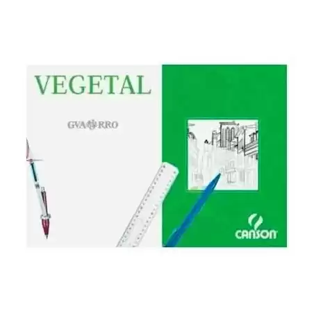 C200406244 CANSON CAJA DE LÁMINAS VEGETAL BASIK 250 HOJAS 90GR 29