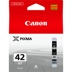 6390B001 Canon PIXMA/PRO-100 Cartucho Gris CLI-42