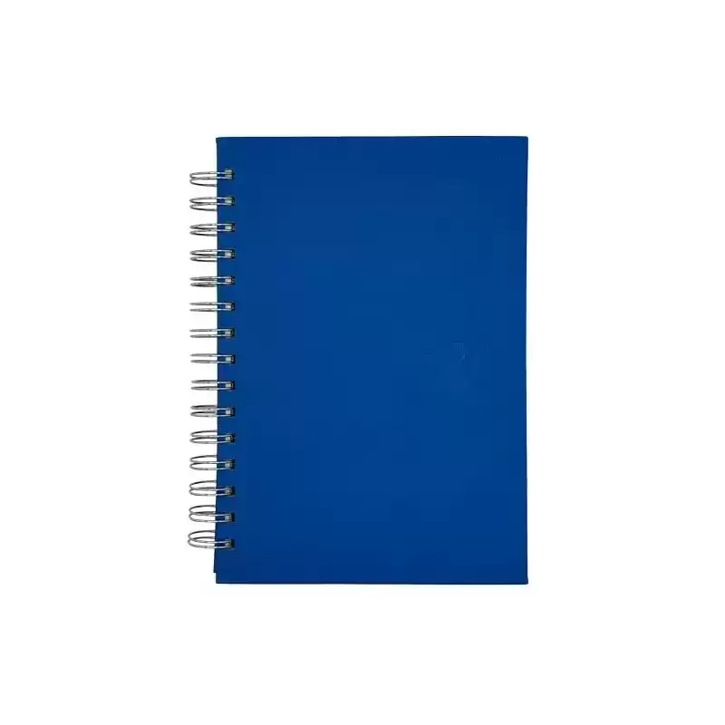 25002533 DIDEX AGENDA BOSTON ESPIRAL 21DZ DÍA PÁGINA 14.5X21CM AZUL 2026