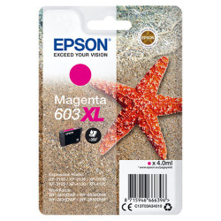 C13T03A34010 EPSON tinta Magenta XL Estrella de mar 1 tinta 603XL No Tag Single