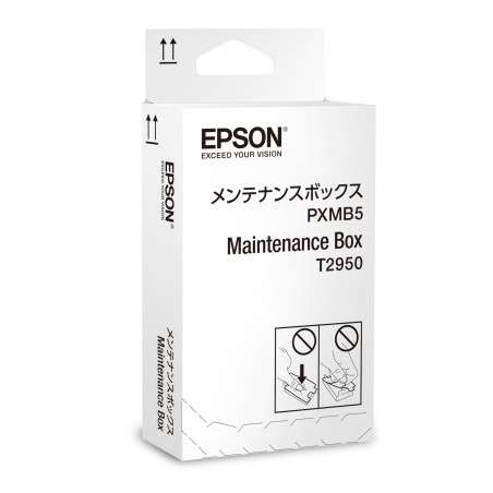 C13T295000 EPSON WorkForce WF-100W Maintenance Box
