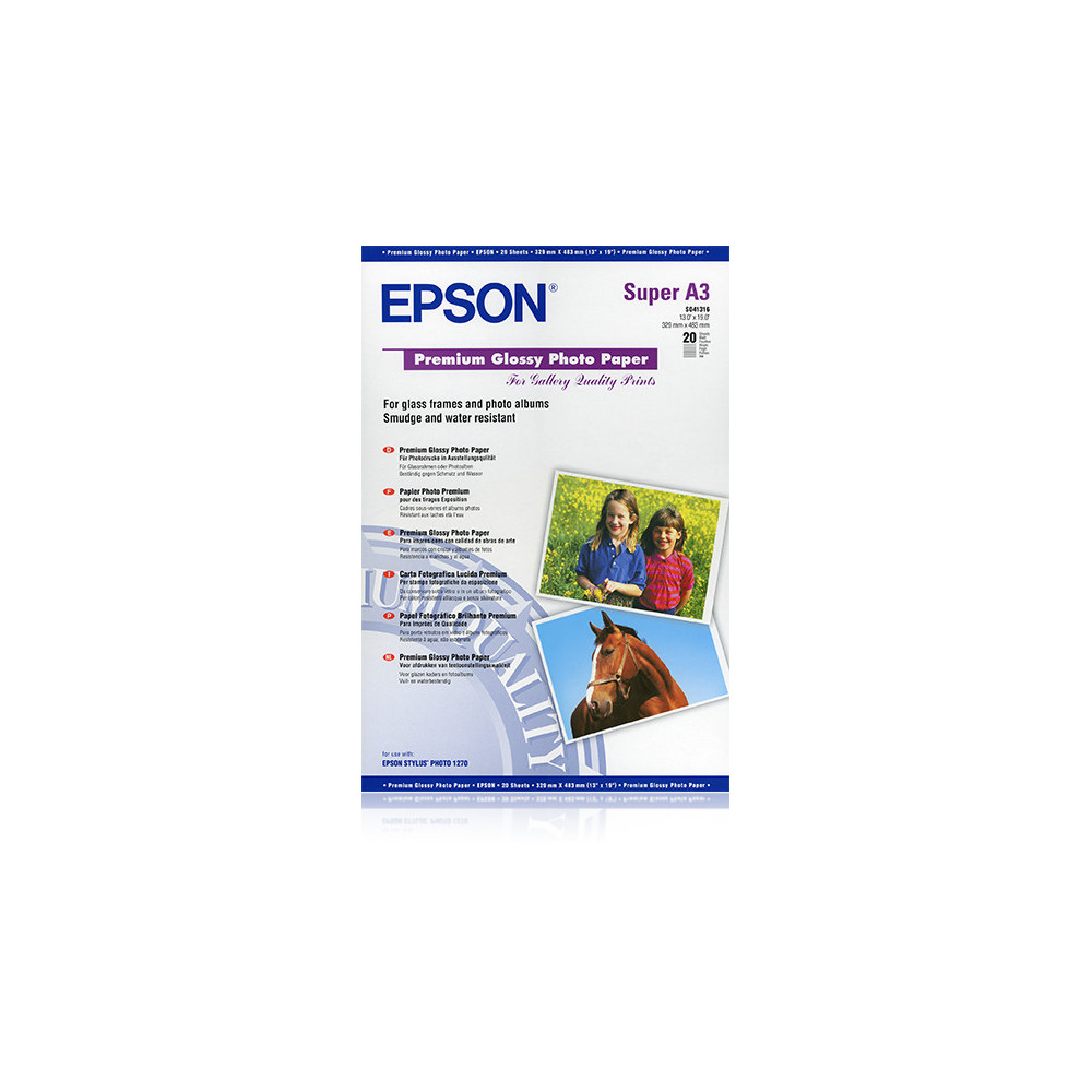 C13S041316 Epson Papel Premium Glossy Photo
