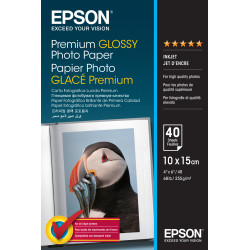 C13S042153 Epson Papel Premium Glossy Photo 255 gr