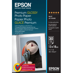 C13S042154 Epson Papel Premium Glossy Photo 255 gr