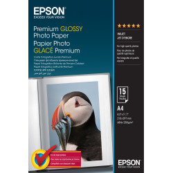 C13S042155 Epson Papel Premium Glossy Photo 255 gr