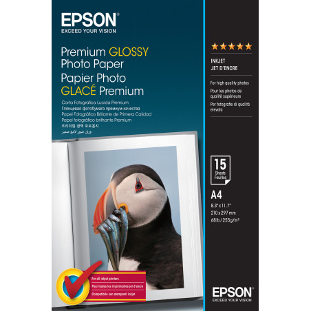 C13S042155 Epson Papel Premium Glossy Photo 255 gr