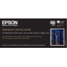 C13S041848 Epson GF Papel Premium Canvas Satin