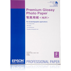 C13S042091 Epson GF Papel Premium Glossy Photo A2