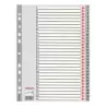 100108 ESSELTE ÍNDICE NUMÉRICO MULTITALADRO 1-31 POLIPROPILENO A4 GRIS CON CARÁTULA ÍNDICE CARTÓN COLOR