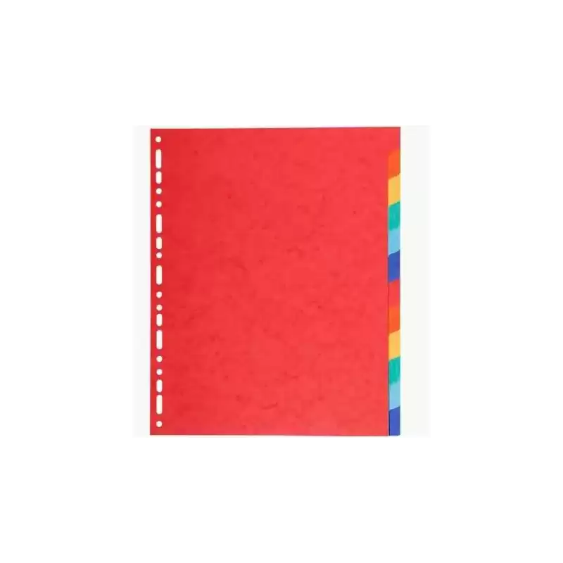 2112E EXACOMPTA SEPARADORES 12 POSICIONES A4 MAXI CARTULINA 220GR