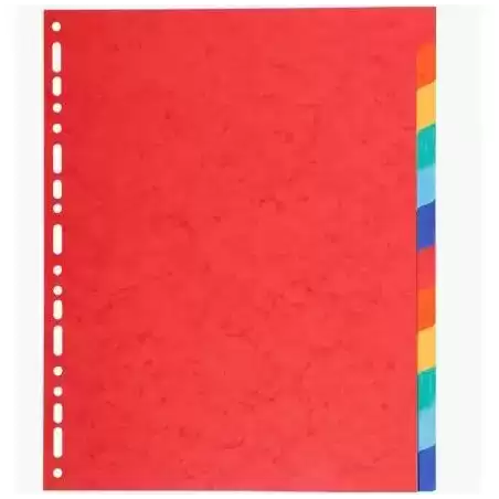 2112E EXACOMPTA SEPARADORES 12 POSICIONES A4 MAXI CARTULINA 220GR