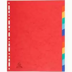 2412E EXACOMPTA SEPARADORES NATURE FUTURE CARTULINA LUSTRADA 225GR 12 POSICIONES A4+ C/SURTIDOS