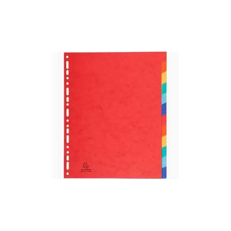 2412E EXACOMPTA SEPARADORES NATURE FUTURE CARTULINA LUSTRADA 225GR 12 POSICIONES A4+ C/SURTIDOS