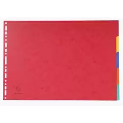 2905E EXACOMPTA SEPARADORES NATURE FUTURE CARTULINA LUSTRADA 400GR 5 POSICIONES A3 COLORES