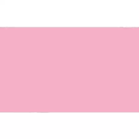 572EB19 FAMA GOMA EVA 50X70CM GROSOR 2MM EB19 ROSA CLARO PACK 10 UD