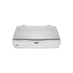 B11B257401 EPSON EXPRESSION 13000XL ESCANER GRAFICO A3