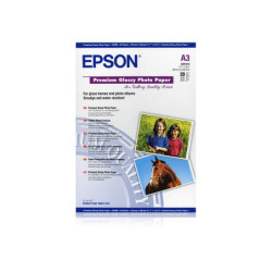 C13S041315 Epson Papel Premium Glossy Photo 255g