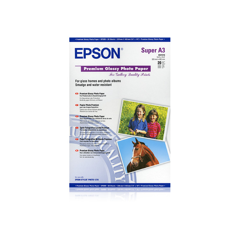 C13S041316 Epson Papel Premium Glossy Photo