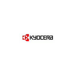 302LW93010 KYOCERA laser FS-3920DN Revelador