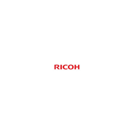 400723 Ricoh Revelador Color