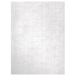 12368 APLI PAPEL TEXTURA VERJURADO BLANCO 100 GR. TAMAÑO A4 - 100 HOJAS -