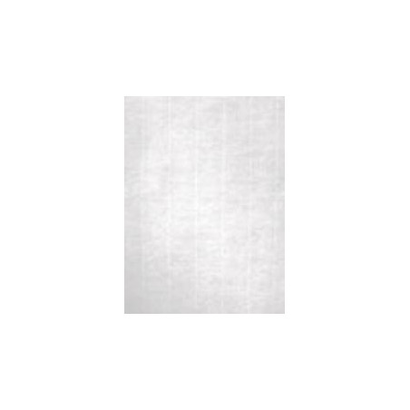 12368 APLI PAPEL TEXTURA VERJURADO BLANCO 100 GR. TAMAÑO A4 - 100 HOJAS -