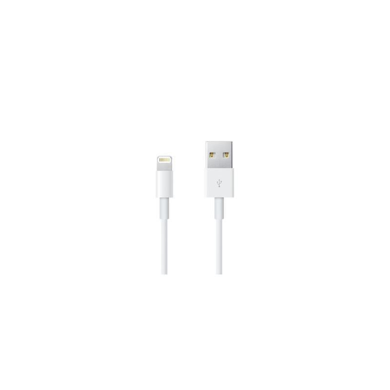 ME291ZM/A APPLE CABLE-APPLE -USB A - LIGHTING