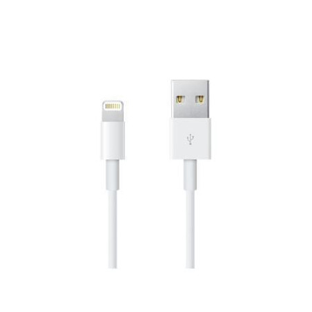 ME291ZM/A APPLE CABLE-APPLE -USB A - LIGHTING