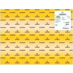 C200005821 IRIS CARTULINA 50X65CM 280GR ORO -25U-