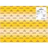 C200005821 IRIS CARTULINA 50X65CM 280GR ORO -25U-