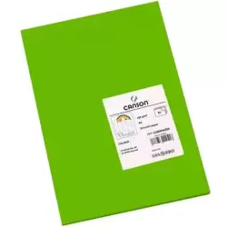 C200040208 IRIS CARTULINA 297X420MM 185GR VERDE BILLAR -50U-