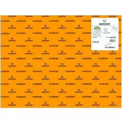 C200040223 IRIS CARTULINA 50X65CM 185GR MANDARINA -25U-