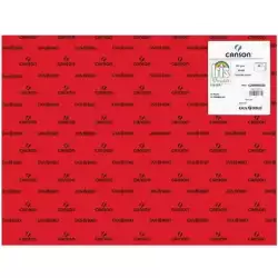 C200040228 IRIS CARTULINA 50X65CM 185GR ROJO -25U-