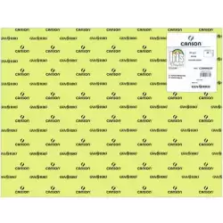 C200040237 IRIS CARTULINA 50X65CM 185GR VERDE MANZANA -25U-