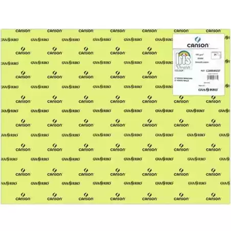 C200040237 IRIS CARTULINA 50X65CM 185GR VERDE MANZANA -25U-