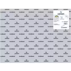C200040243 IRIS CARTULINA 50X65CM 185GR GRIS PERLA -25U-
