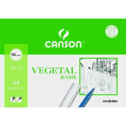 C200407621 CANSON MINIPACK VEGETAL BASIK 12 HOJAS 21X29