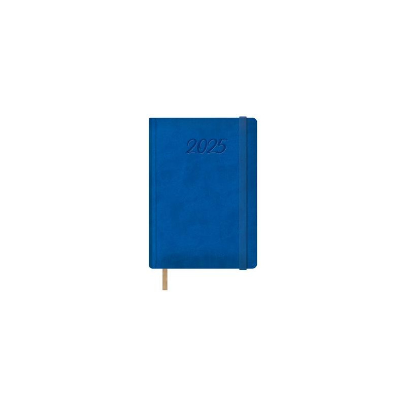 12878-2025 DOHE AGENDA ANUAL SAMBA 15X21CM D/P AZUL 2025