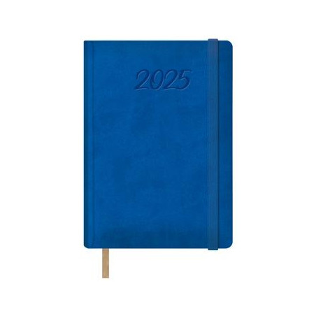 12878-2025 DOHE AGENDA ANUAL SAMBA 15X21CM D/P AZUL 2025