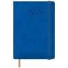 12878-2025 DOHE AGENDA ANUAL SAMBA 15X21CM D/P AZUL 2025