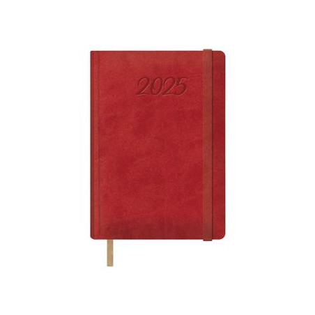 12879-2025 DOHE AGENDA ANUAL SAMBA 15X21CM D/P ROJO 2025