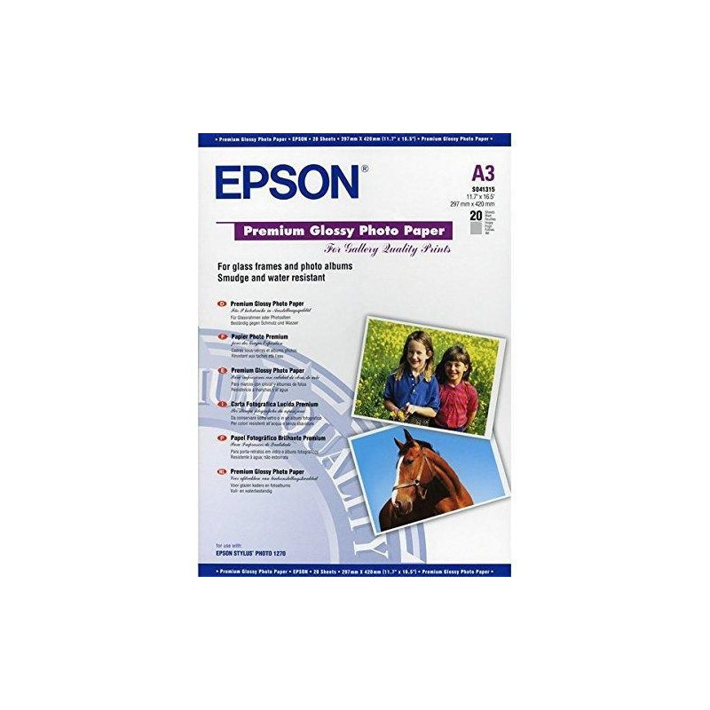 C13S041315 EPSON PAPEL PREMIUM GLOSSY PHOTO 255G