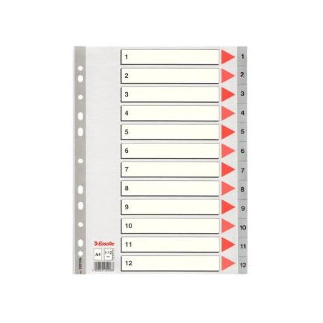 100106 ESSELTE ÍNDICE NUMÉRICO MULTITALADRO 1-12 POLIPROPILENO A4 GRIS CON CARÁTULA ÍNDICE CARTÓN COLOR