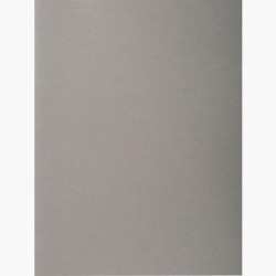 410009E EXACOMPTA SUBCARPETAS A4 FOREVER COLOR GRIS 220GR -100U-