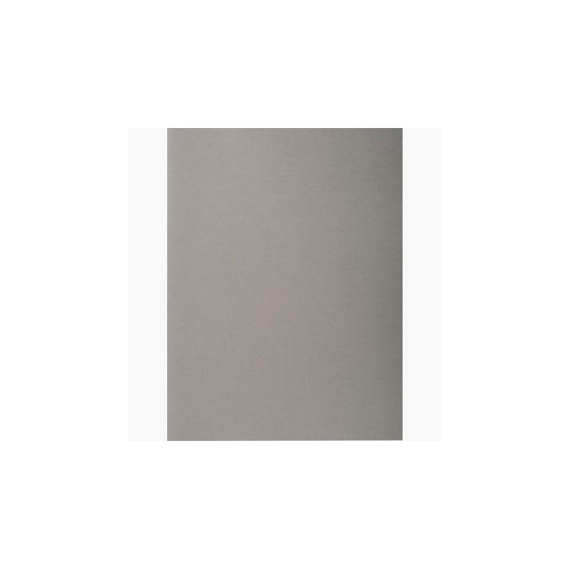 410009E EXACOMPTA SUBCARPETAS A4 FOREVER COLOR GRIS 220GR -100U-