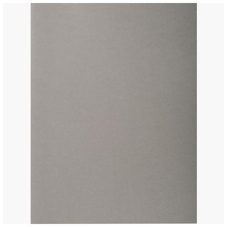 410009E EXACOMPTA SUBCARPETAS A4 FOREVER COLOR GRIS 220GR -100U-