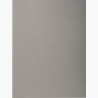 410009E EXACOMPTA SUBCARPETAS A4 FOREVER COLOR GRIS 220GR -100U-