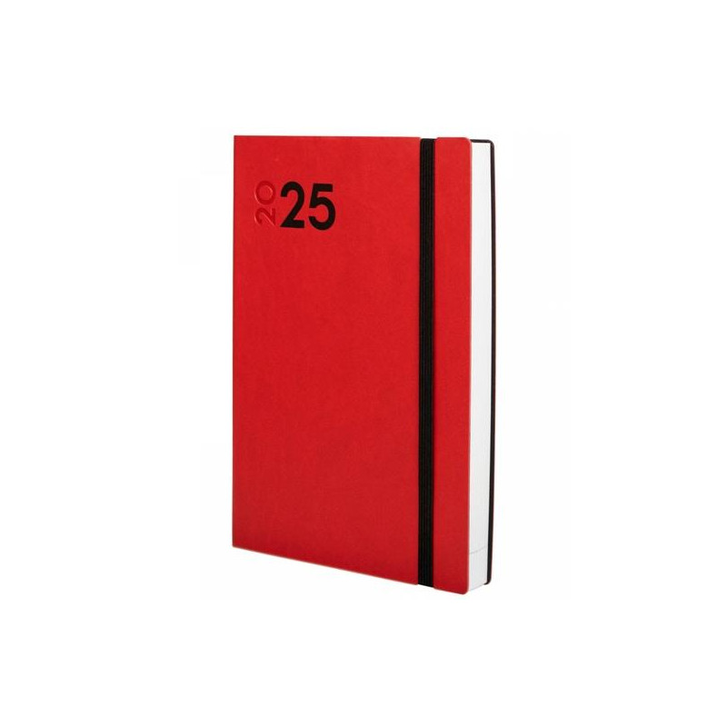 621163025 FINOCAM AGENDA ANUAL DYNAMIC MARA Y10-140X204MM 1DP ROJO 2025